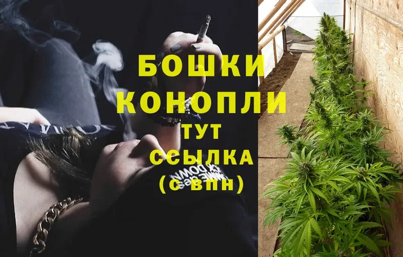 shop состав  Козельск  Бошки Шишки White Widow 